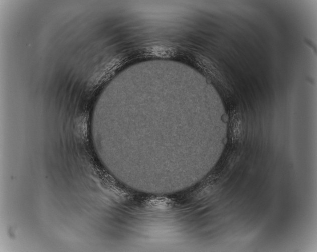 X0000101970595200808081553