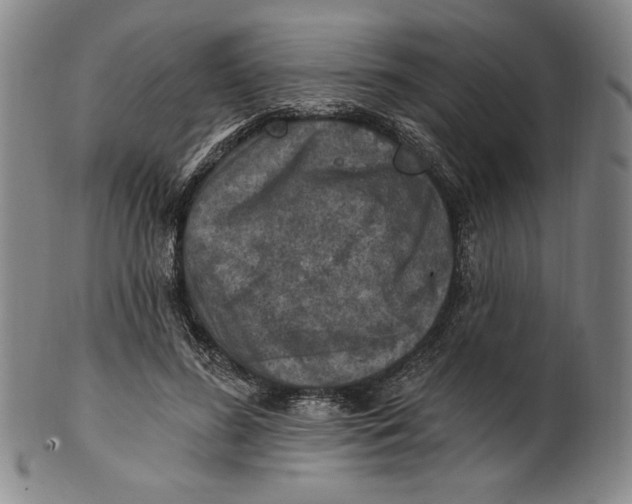 X0000101970596200808081553