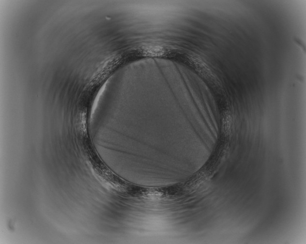 X0000101970598200808081553