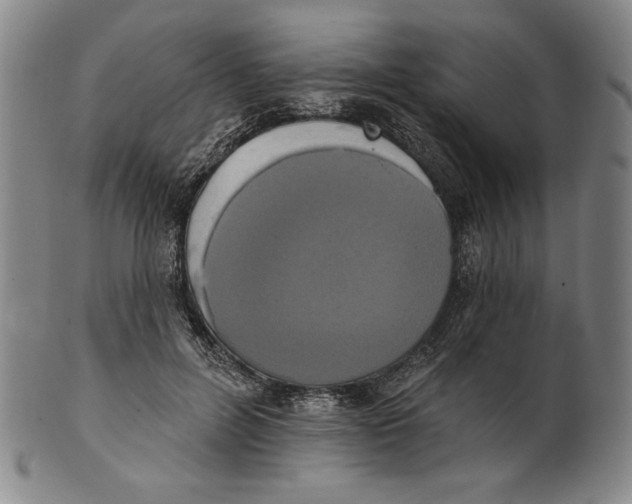 X0000101970600200808081553
