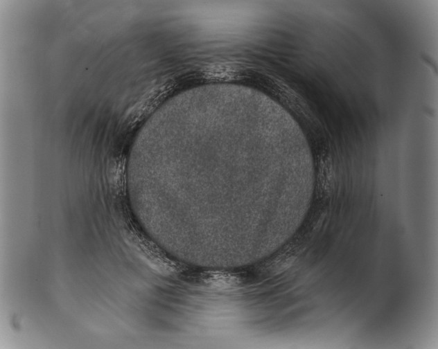 X0000101970601200808081553