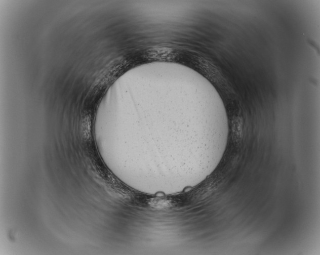 X0000101970602200808081553