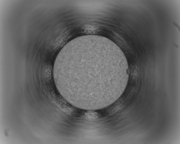 X0000101970603200808081553