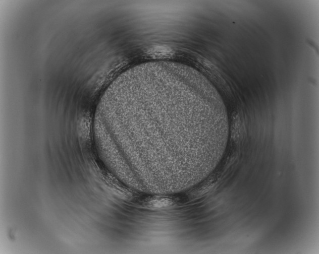 X0000101970604200808081552