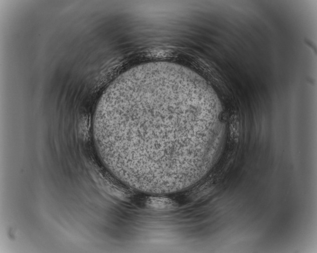 X0000101970605200808081552