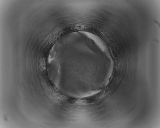 X0000101970606200808081552