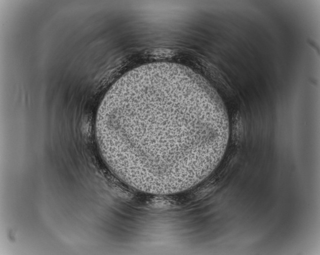 X0000101970608200808081552