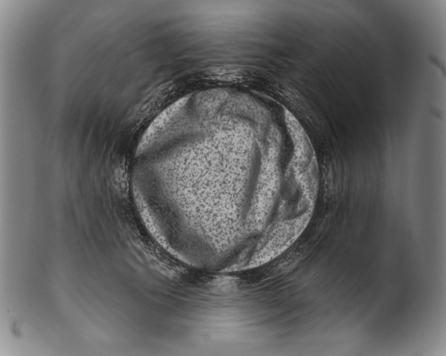 X0000101970609200808081552