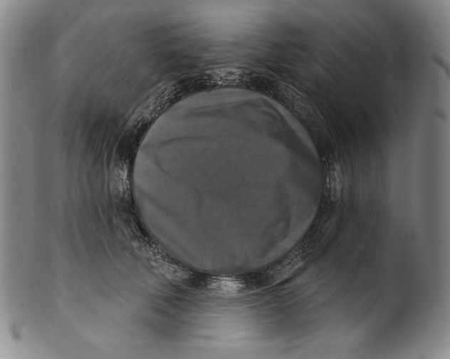 X0000101970610200808081552