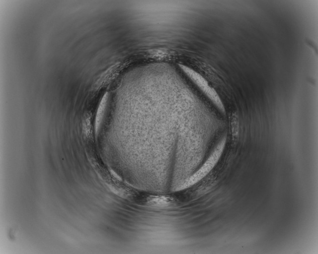 X0000101970611200808081552