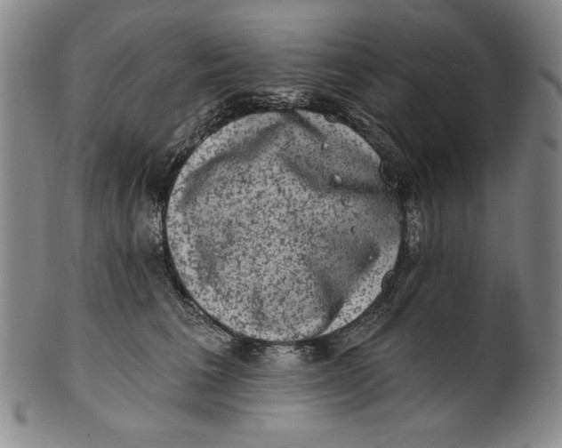 X0000101970613200808081552