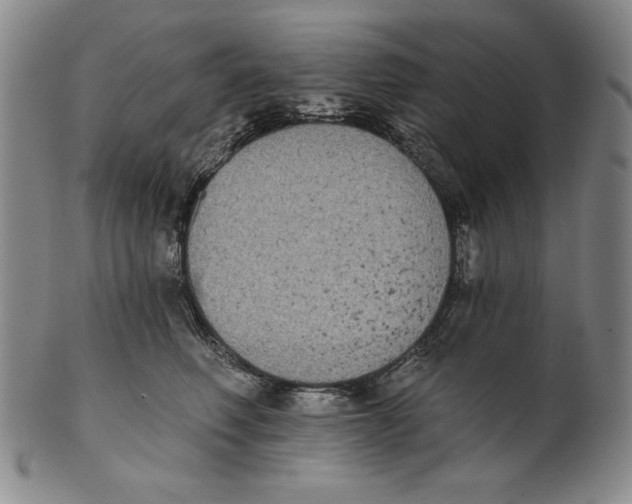 X0000101970614200808081552