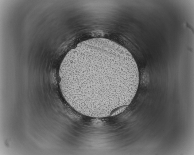 X0000101970616200808081552