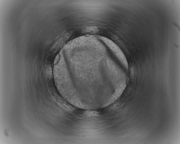 X0000101970617200808081552