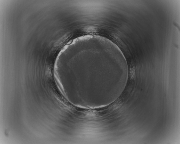 X0000101970618200808081552
