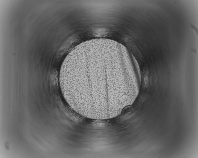 X0000101970620200808081552