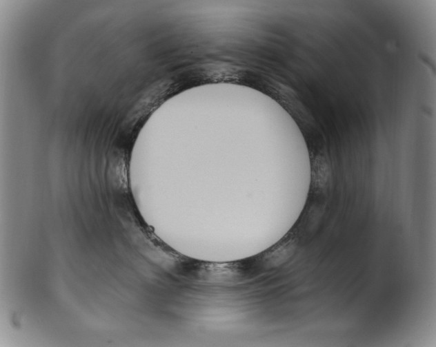 X0000101970622200808081552