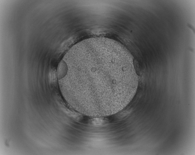 X0000101970623200808081552
