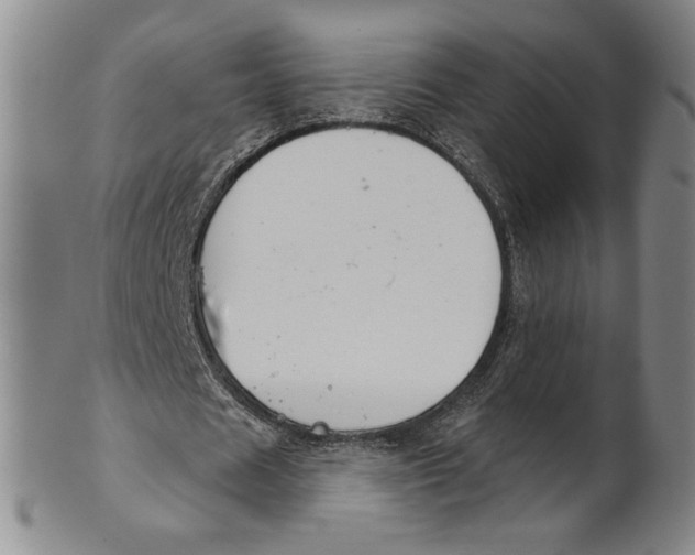 X0000101970625200808081552