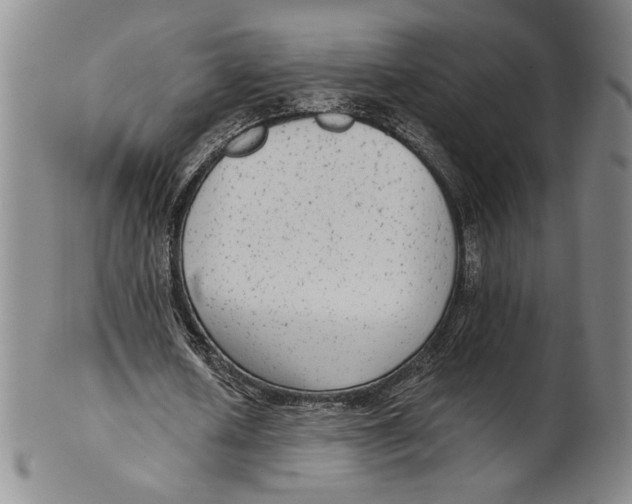 X0000101970626200808081552