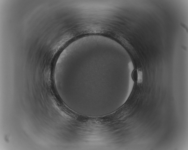 X0000101970627200808081552