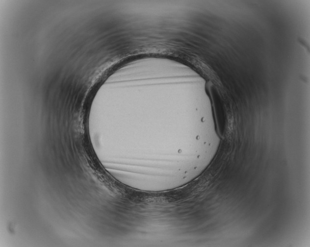 X0000101970628200808081552
