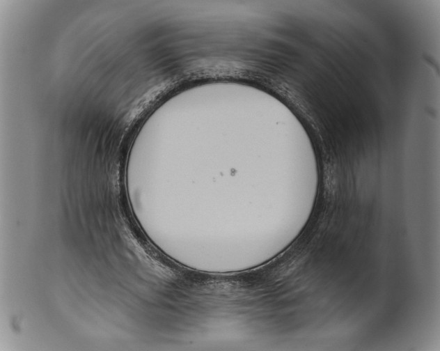 X0000101970629200808081552