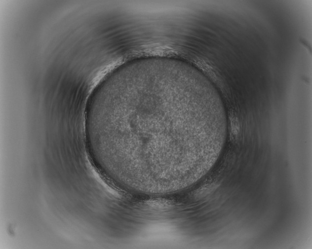X0000101970630200808081552