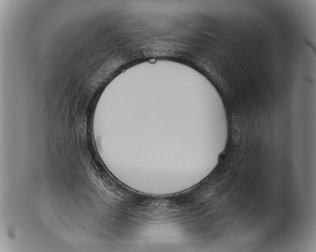 X0000101970631200808081552