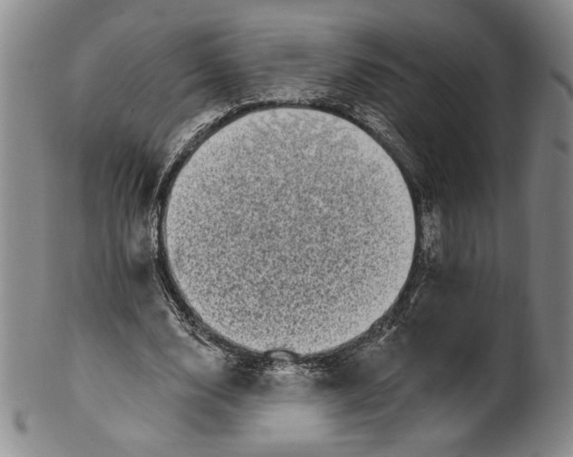 X0000101970632200808081552