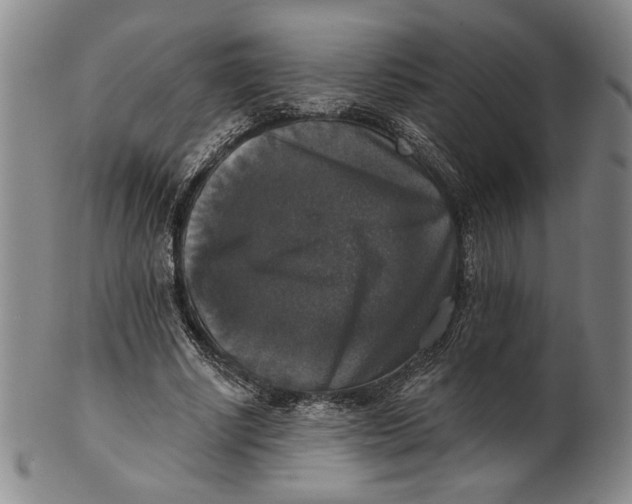 X0000101970634200808081552