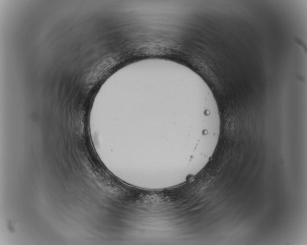 X0000101970635200808081552
