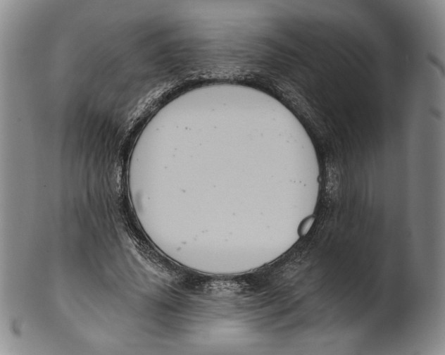 X0000101970636200808081552