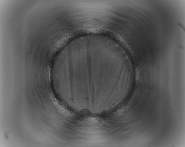 X0000101970637200808081552