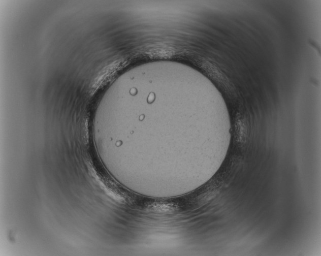 X0000101970638200808081552