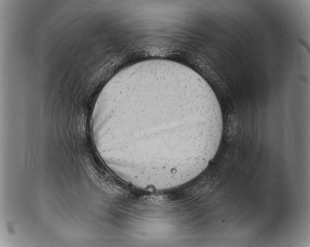 X0000101970639200808081552