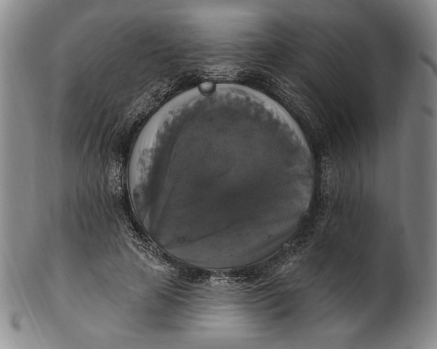X0000101970641200808081552
