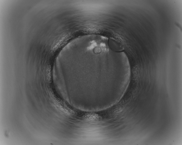 X0000101970642200808081552