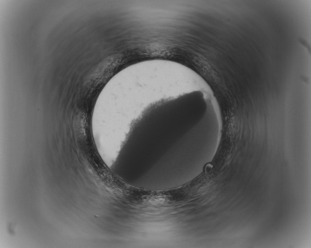 X0000101970643200808081552