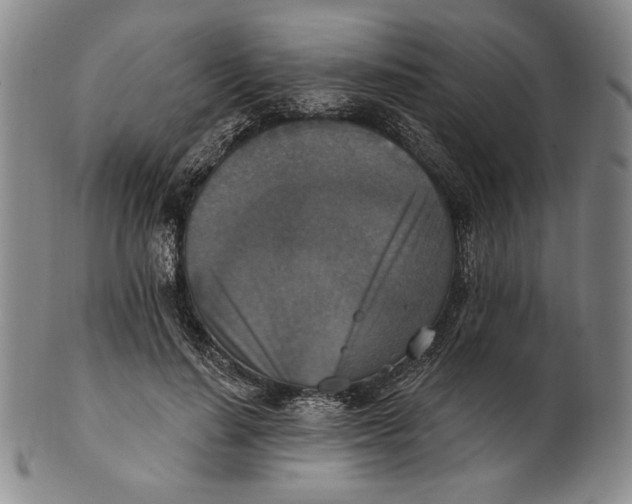X0000101970644200808081552