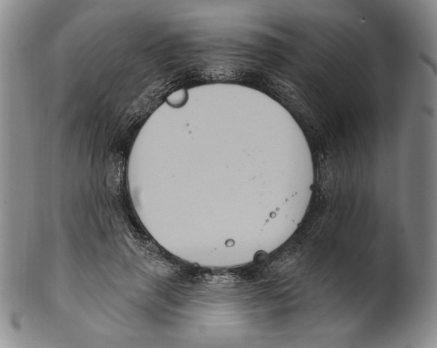 X0000101970645200808081552