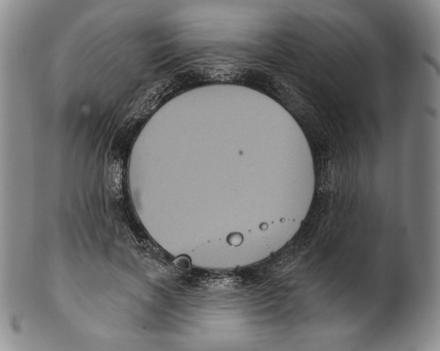 X0000101970646200808081552