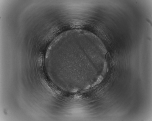 X0000101970647200808081552