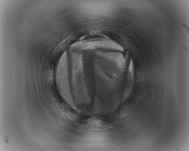 X0000101970648200808081552