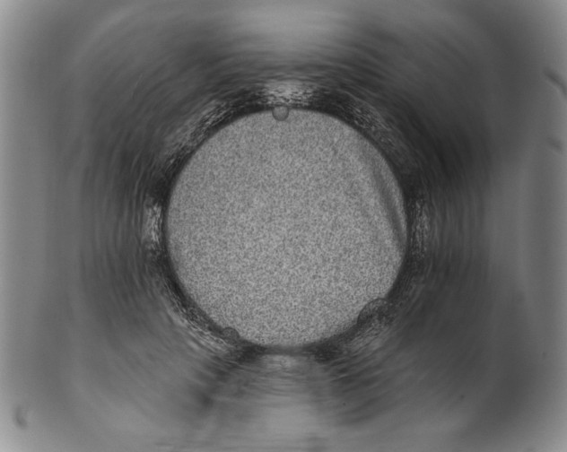 X0000101970649200808081552