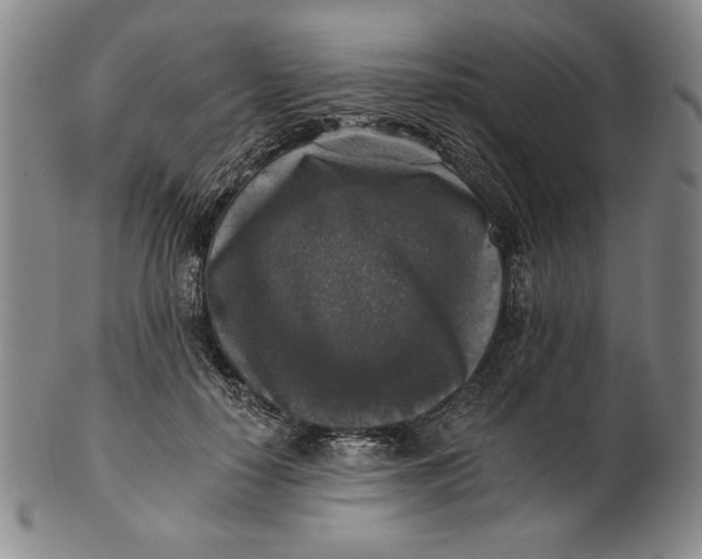 X0000101970650200808081552