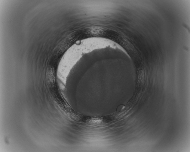 X0000101970651200808081552