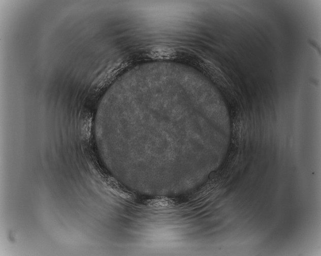 X0000101970652200808081552