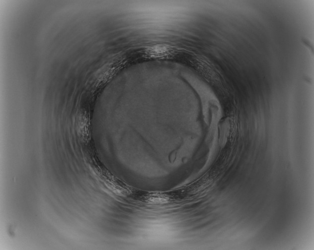 X0000101970653200808081552
