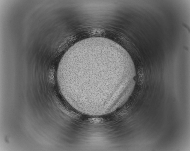 X0000101970654200808081552